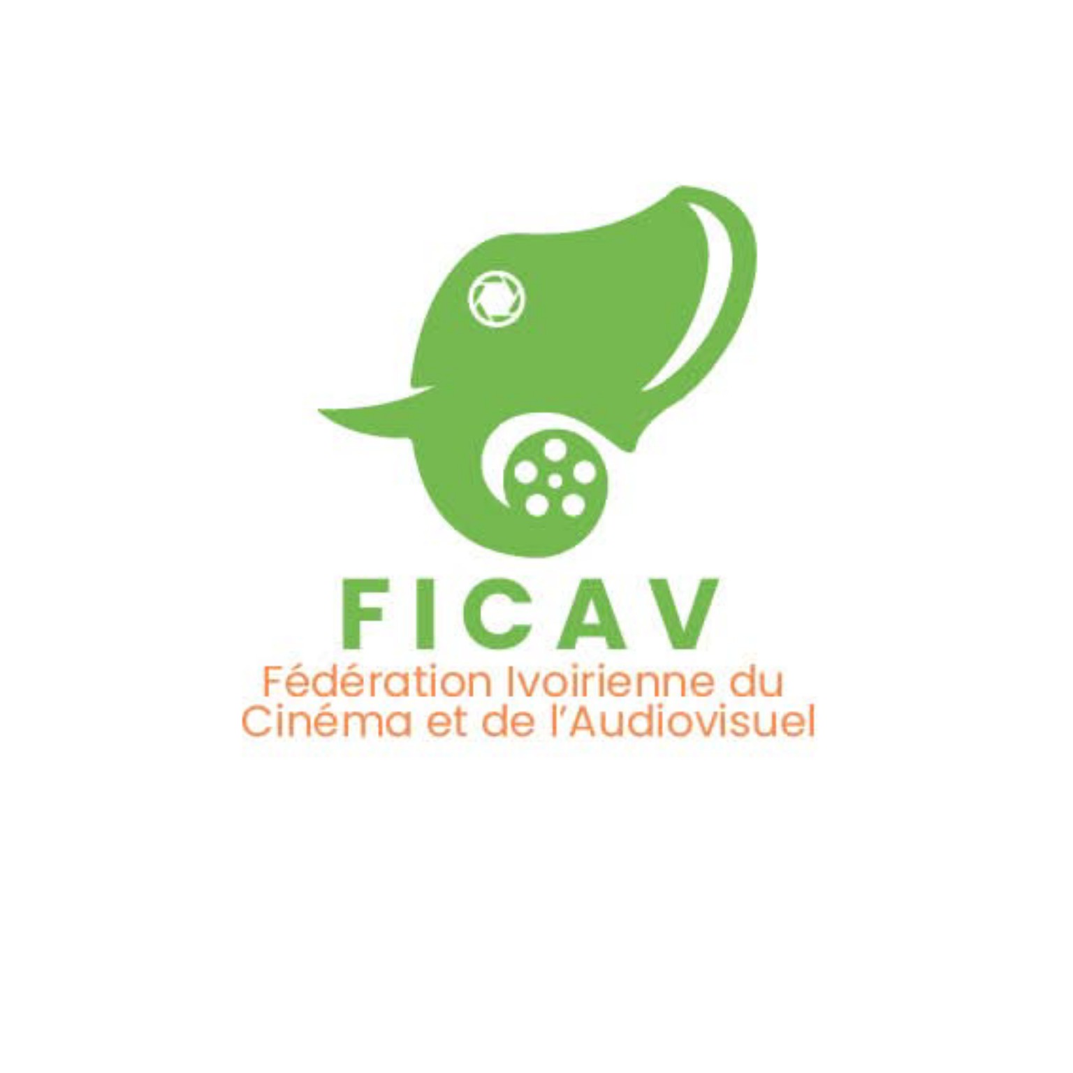 Logo FICAV
